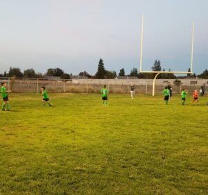 Soccer Field image 3