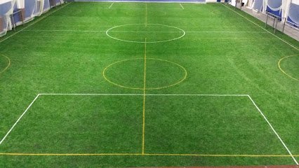 Soccer Field image 1