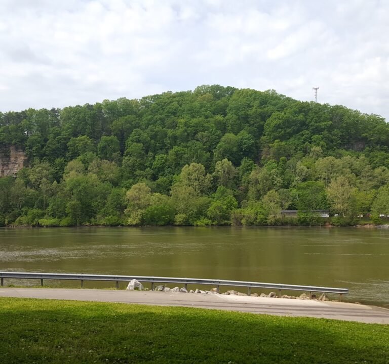 Soccer Field image 2