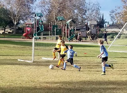 Soccer Field image 1