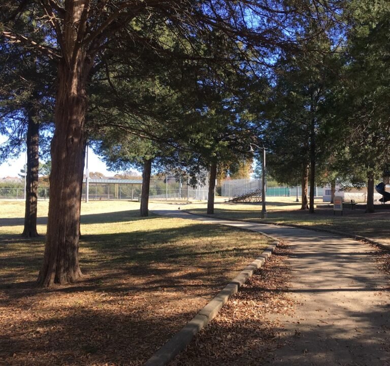 Soccer Field image 3