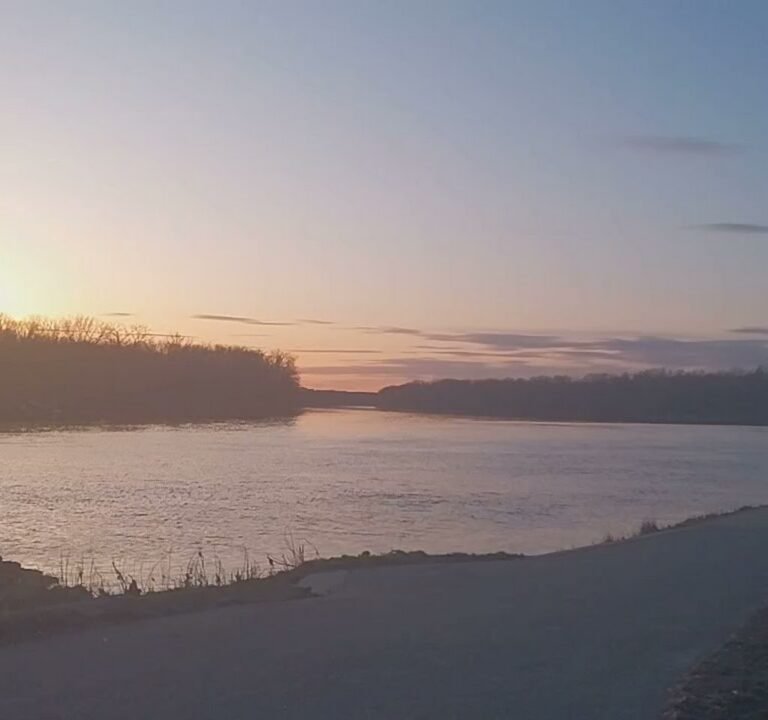 Soccer Field image 4