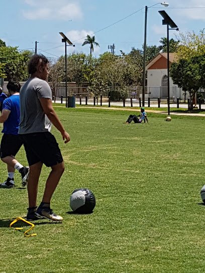 Soccer Field image 1