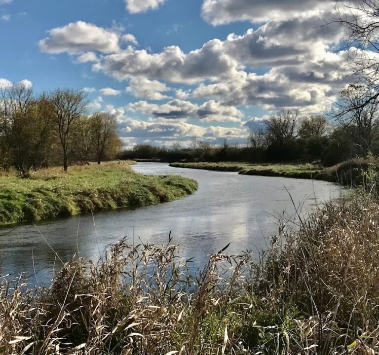 Soccer Field image 2