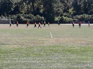 Soccer Field image 1