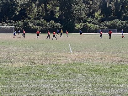 Soccer Field image 1