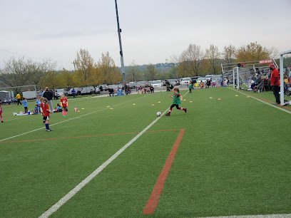 Soccer Field image 1