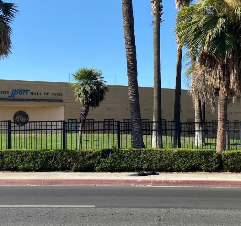 Soccer Field image 2