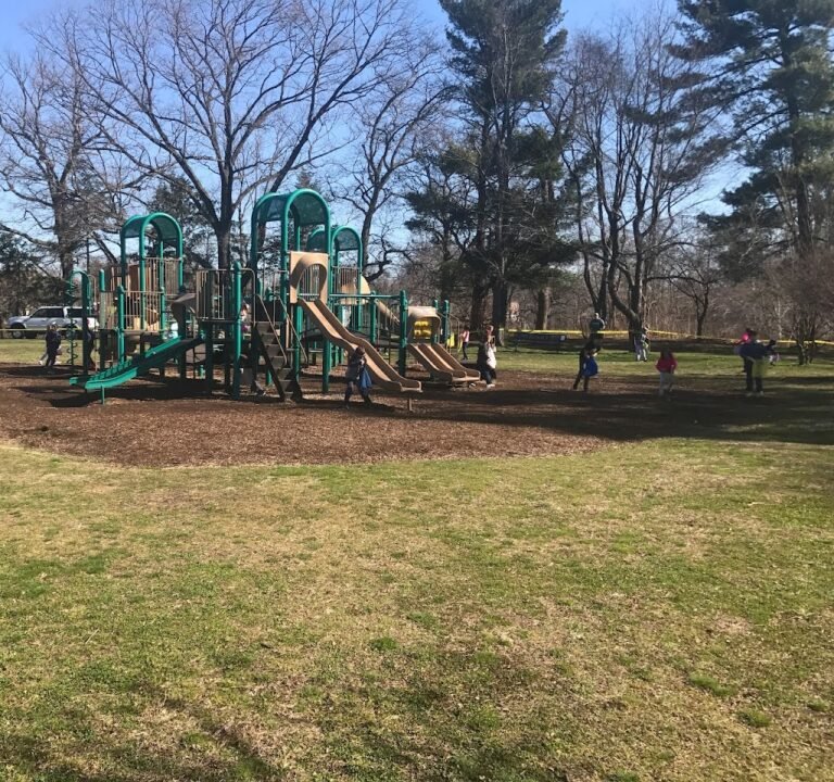 Soccer Field image 2