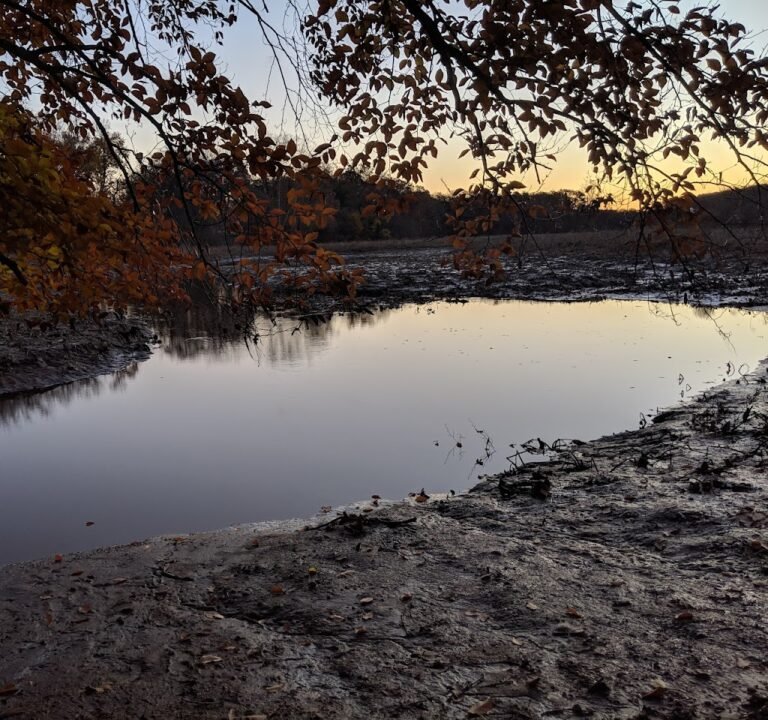 Soccer Field image 3