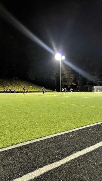 Soccer Field image 1