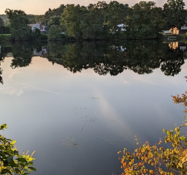 Soccer Field image 2