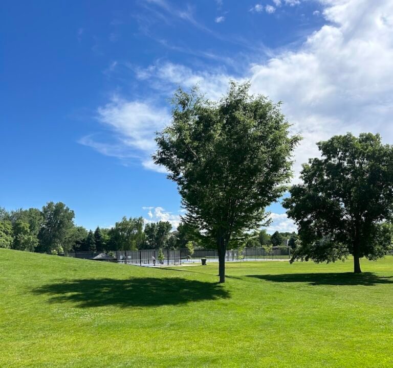 Soccer Field image 2