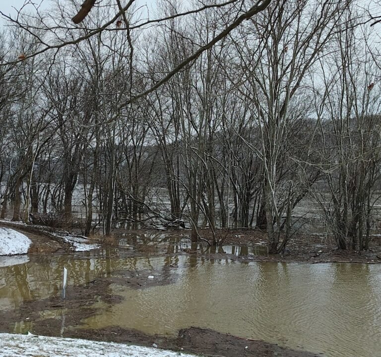 Soccer Field image 3
