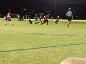Soccer Field image 1