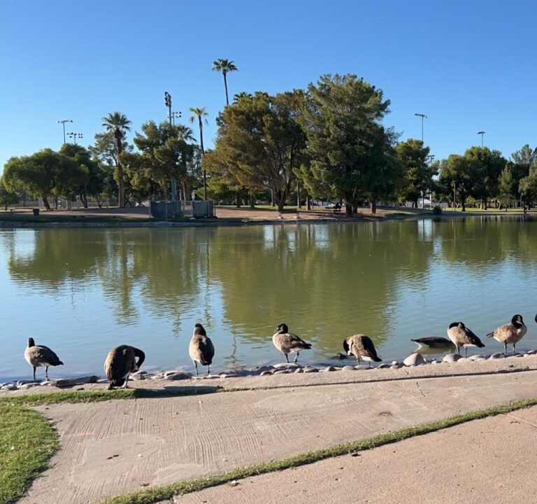 Soccer Field image 2