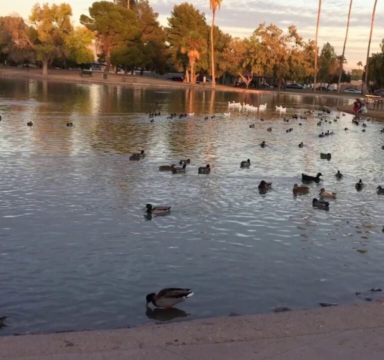 Soccer Field image 4