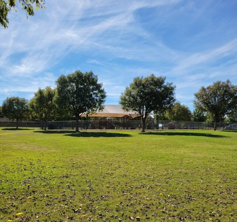 Soccer Field image 2