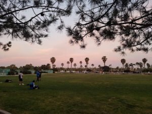 Soccer Field image 1