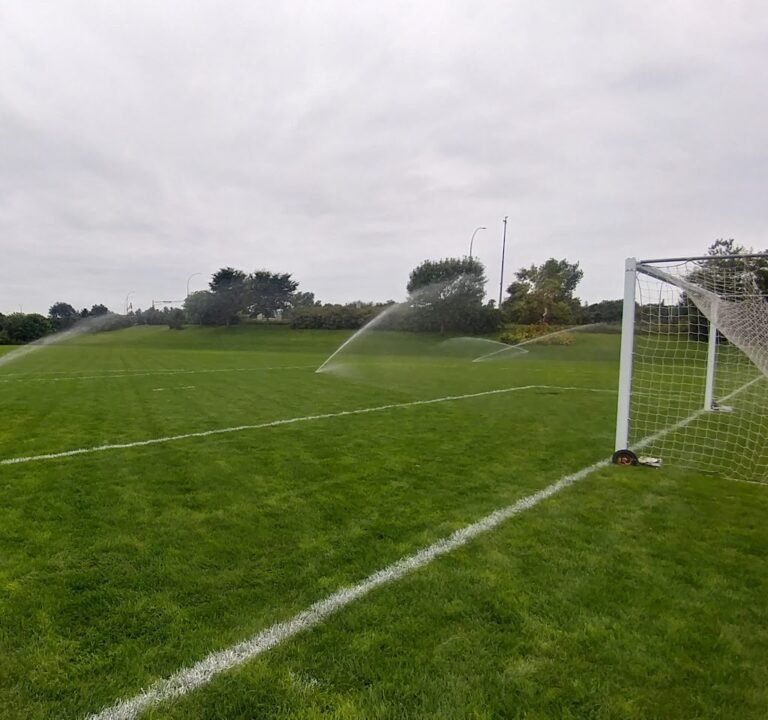 Soccer Field image 3