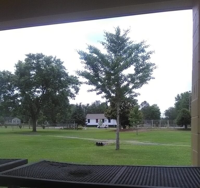 Soccer Field image 2