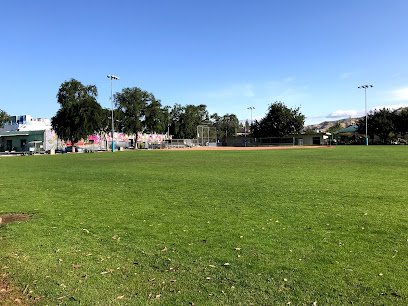 Soccer Field image 1