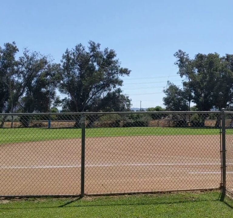 Soccer Field image 4