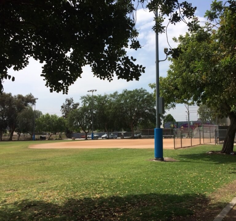 Soccer Field image 2