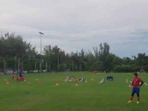 Soccer Field image 1