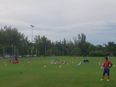 Soccer Field image 1