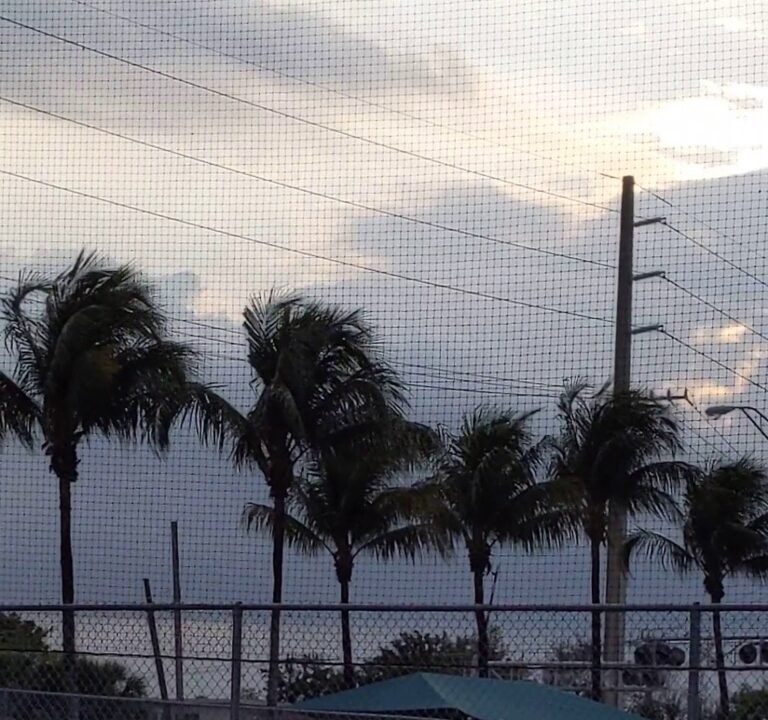 Soccer Field image 4