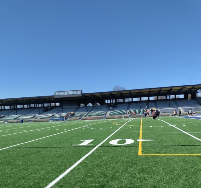 Soccer Field image 2