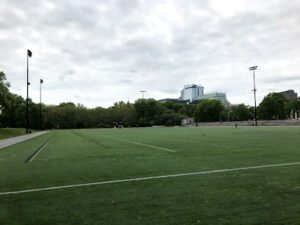 Soccer Field image 1