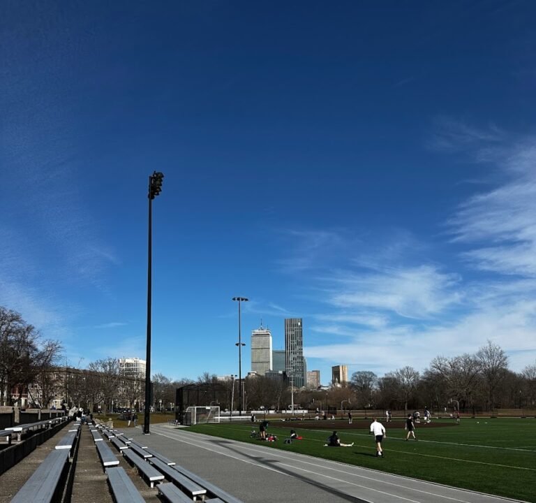 Soccer Field image 2