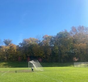 Soccer Field image 2