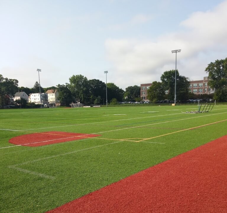 Soccer Field image 2