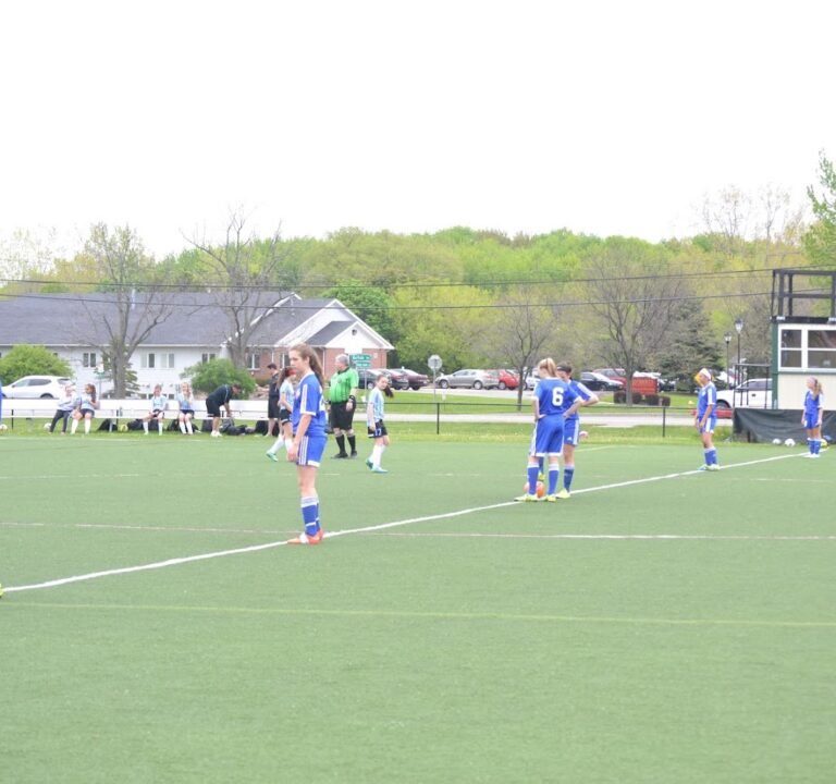 Soccer Field image 3