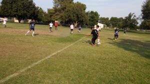 Soccer Field image 1