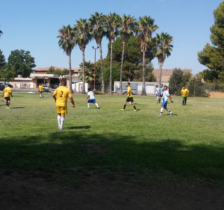 Soccer Field image 2