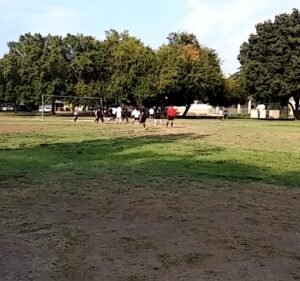 Soccer Field image 4