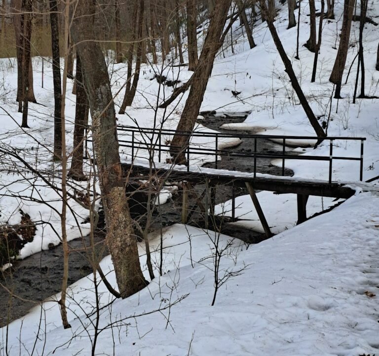 Soccer Field image 3