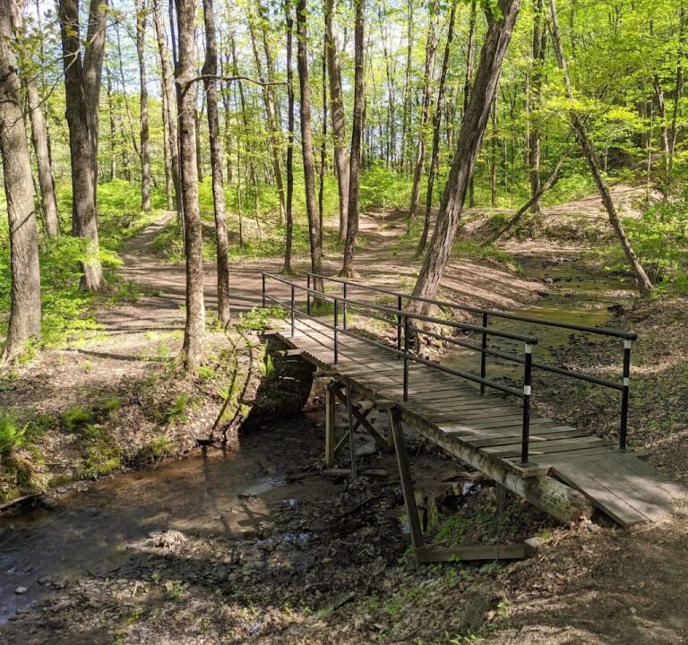 Soccer Field image 2