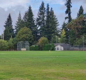 Soccer Field image 2
