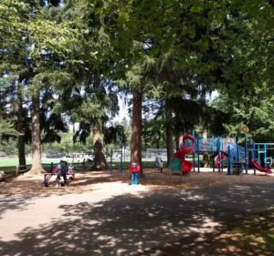 Soccer Field image 3