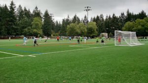 Soccer Field image 1