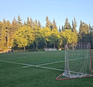 Soccer Field image 2