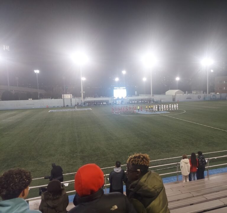 Soccer Field image 2