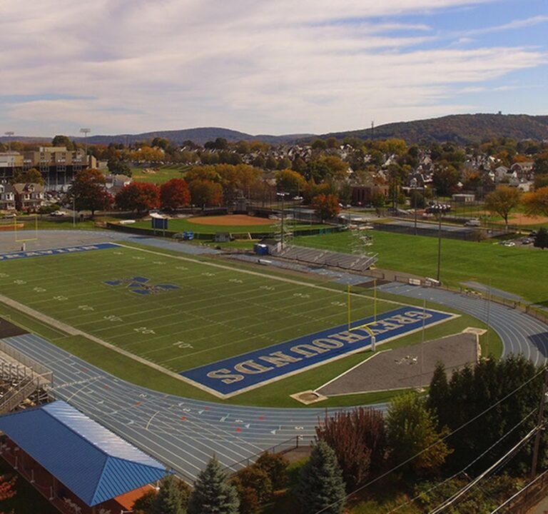 Soccer Field image 2