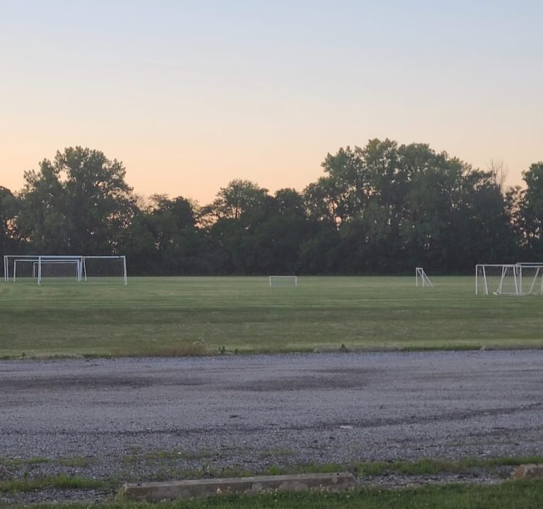 Soccer Field image 2