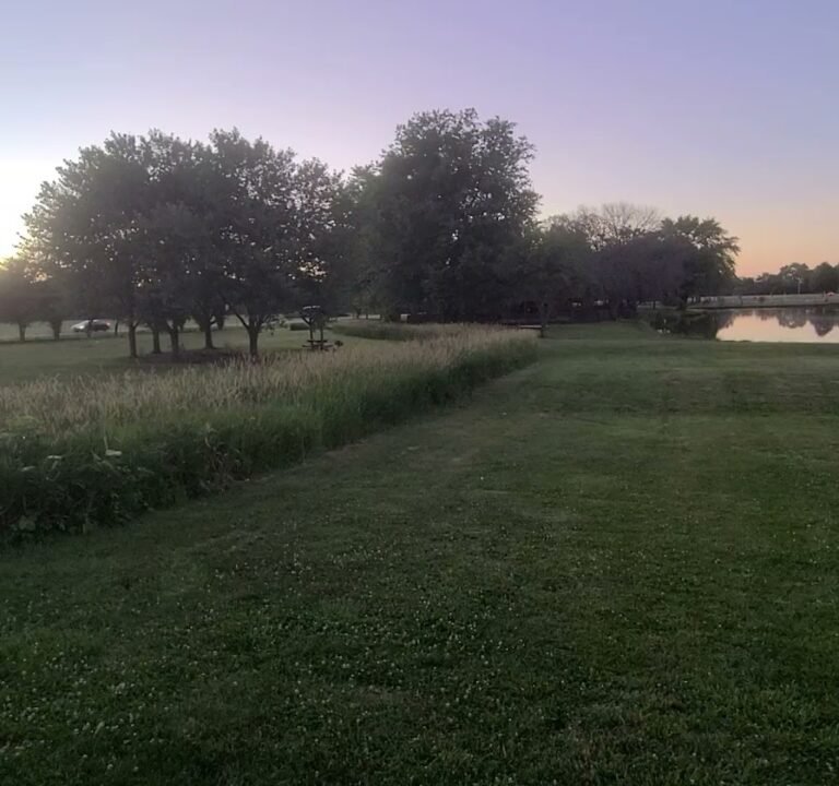 Soccer Field image 2